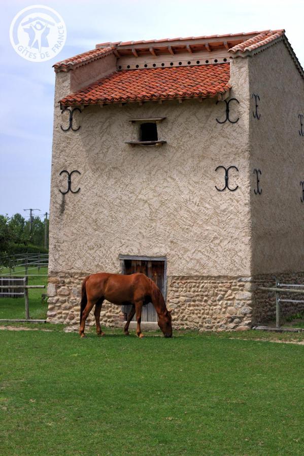 Chambres d'Hôtes Ondine et Igor Saint-Marcellin-en-Forez Exterior foto